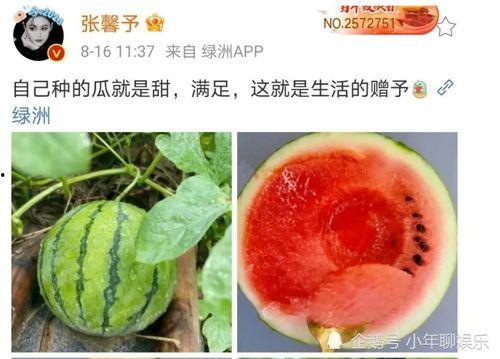 娱乐圈吃瓜的图片大全,揭秘明星幕后生活瞬间